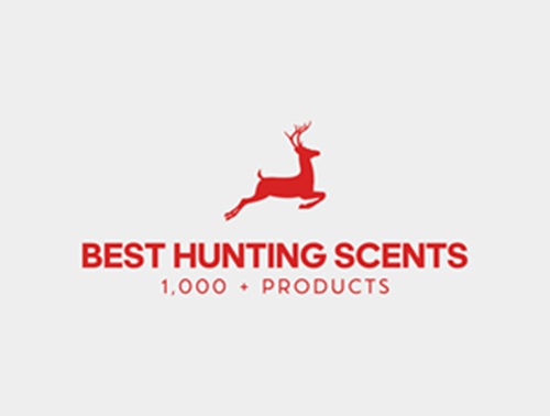 Best Hunting Scents