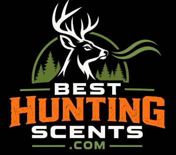 Best Hunting Scents