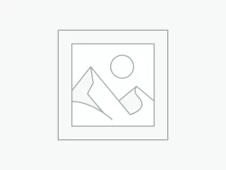 Uncategorized